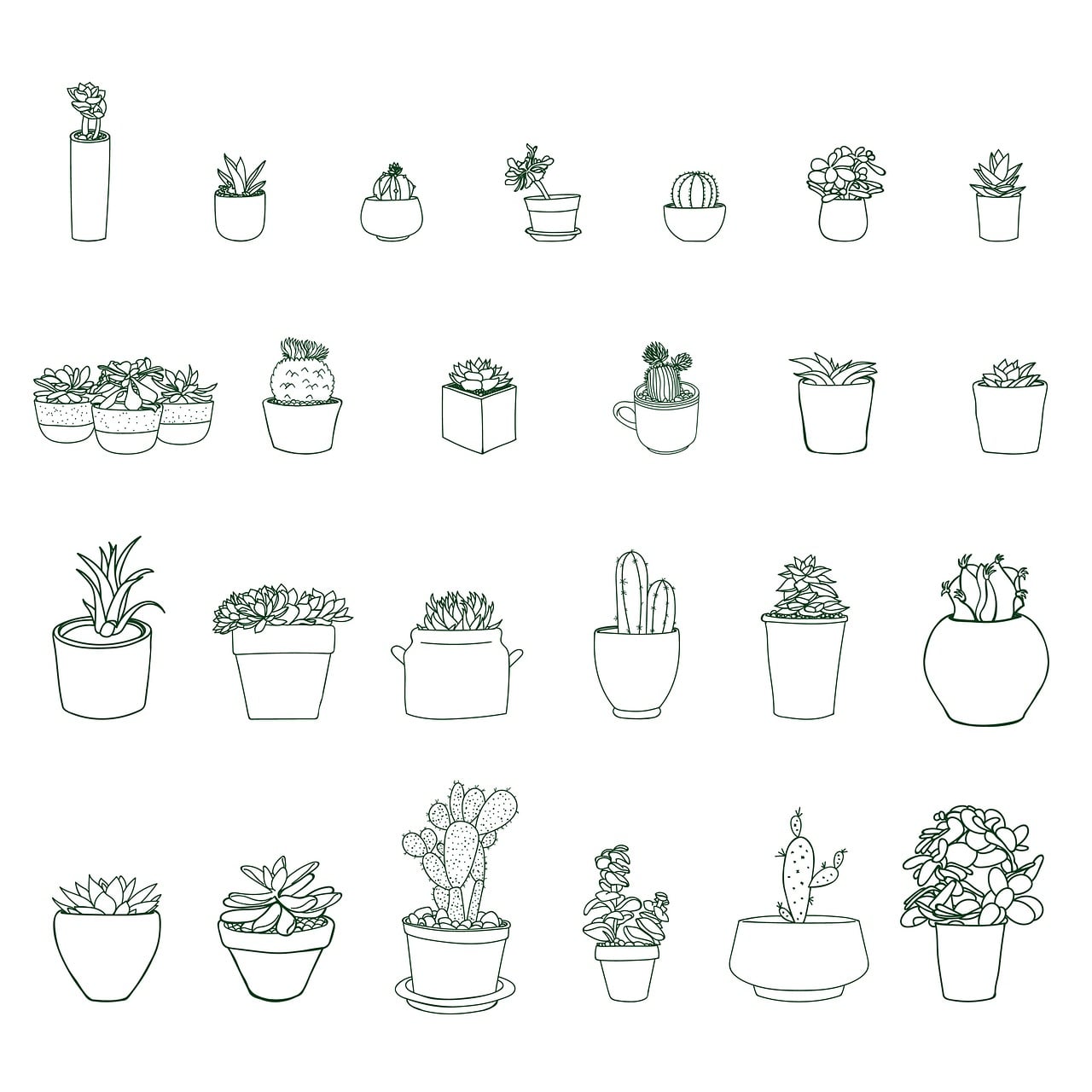 Best Indoor Plants for Beginners