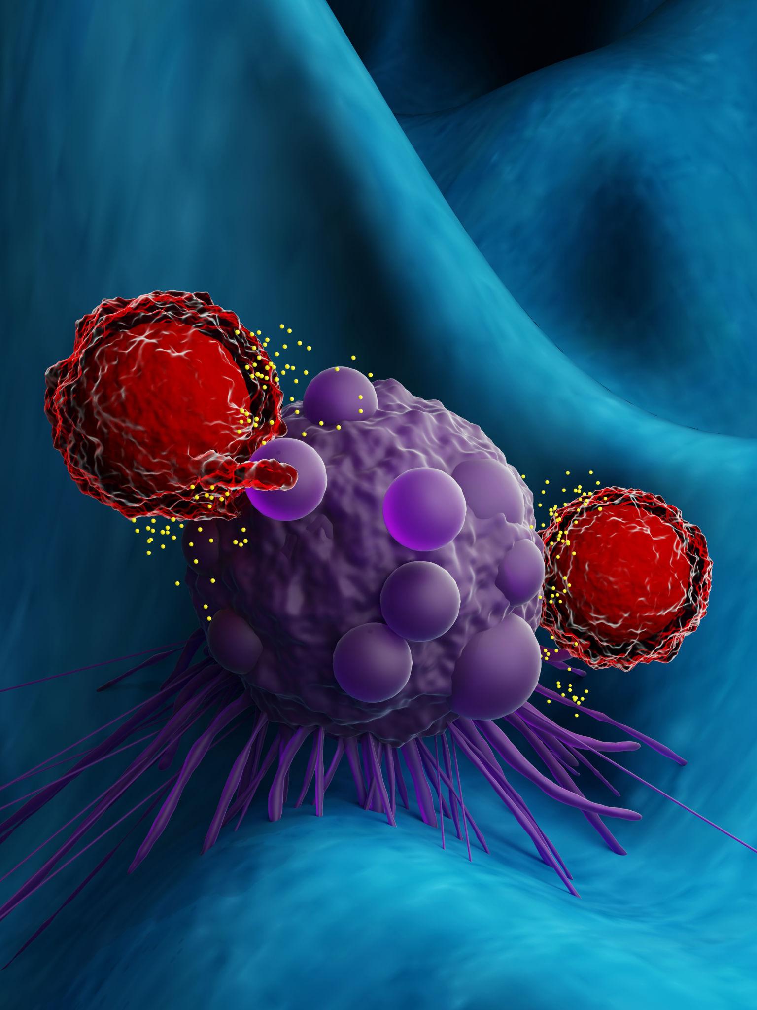 Medical Cannabis for Cancer Symptoms: Can Personalized Doses Improve Quality of Life?