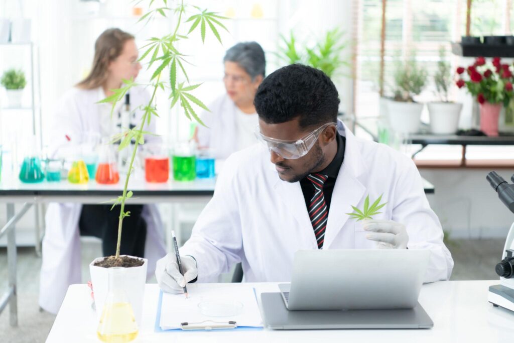 Cannabis Health: Understanding the Science, Safety, and Future of Cannabinoid Wellness 🌿🧠